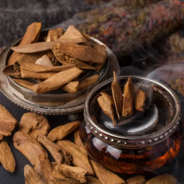Mystic Oud